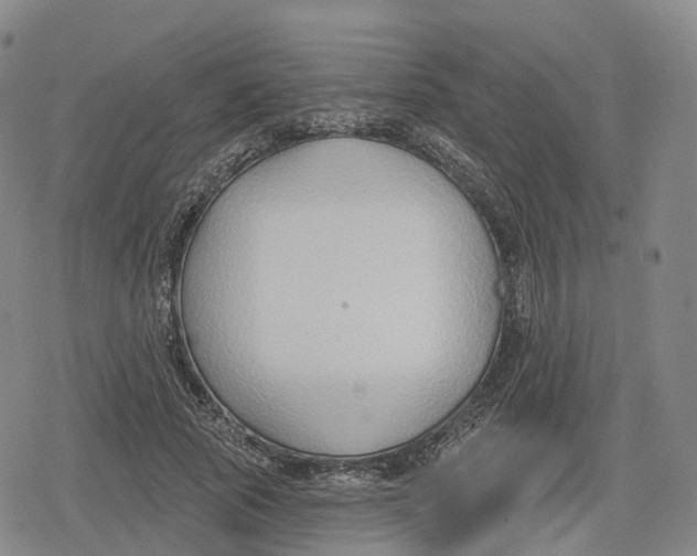 X0000079580737200612221430