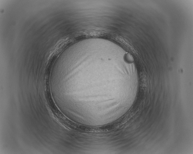 X0000079580738200612221430