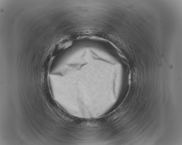 X0000079580739200612221430