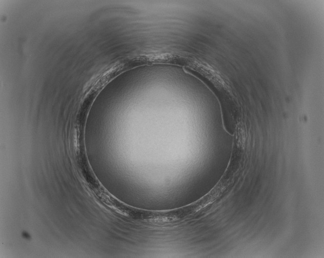 X0000079580740200612221430