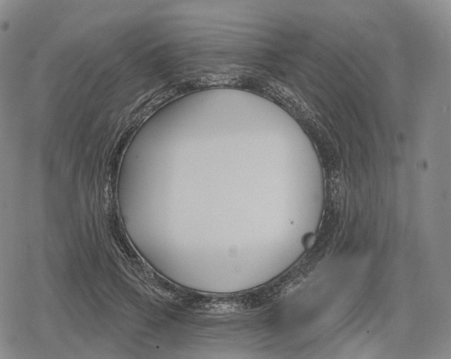 X0000079580741200612221430