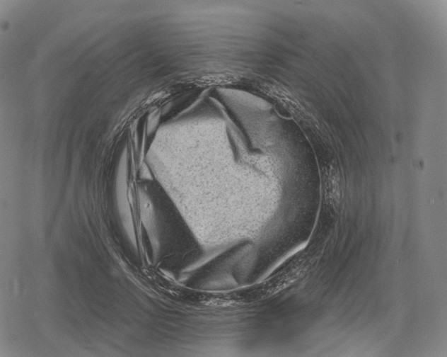 X0000079580742200612221430