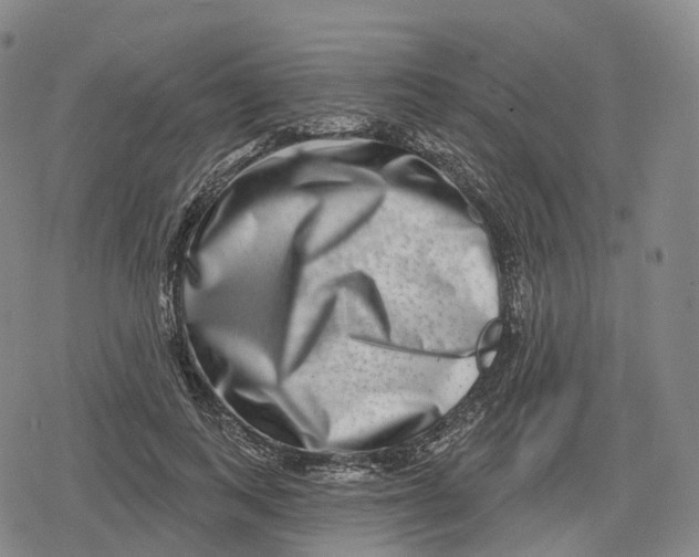 X0000079580743200612221430