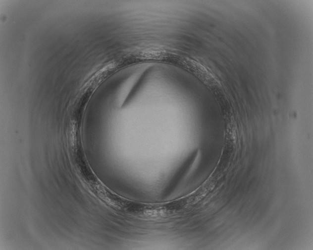 X0000079580744200612221430