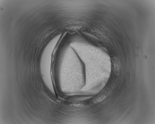 X0000079580745200612221430