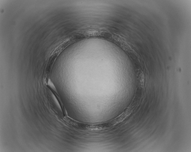 X0000079580746200612221430