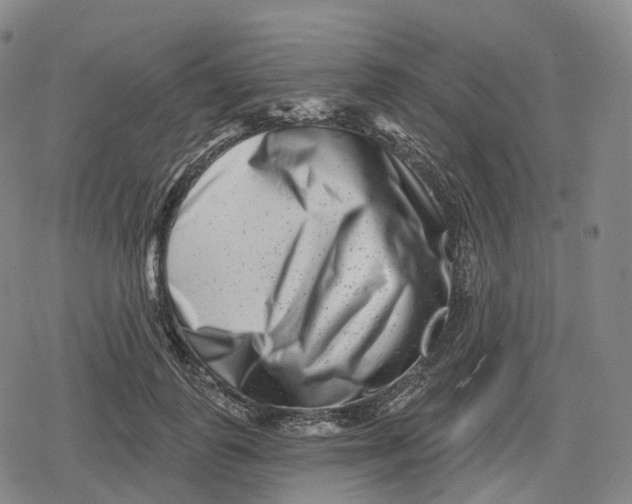 X0000079580747200612221430