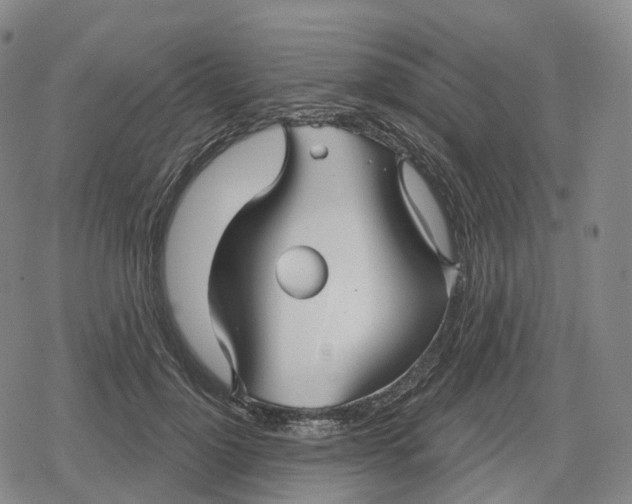 X0000079580748200612221430