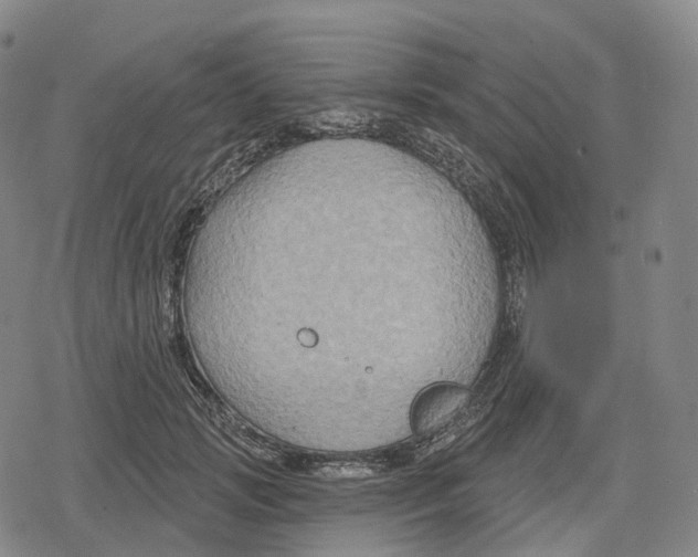 X0000079580749200612221430