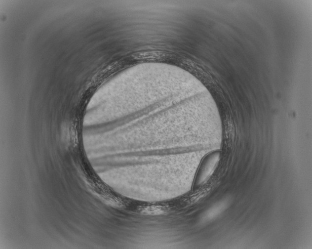 X0000079580751200612221430