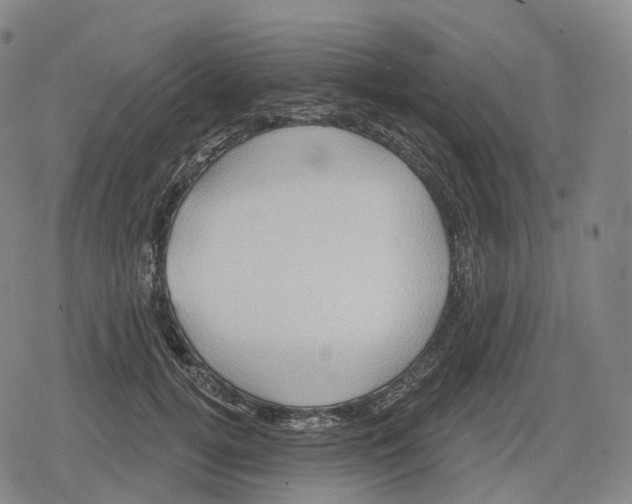 X0000079580752200612221430