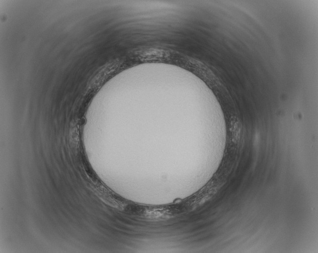 X0000079580753200612221430