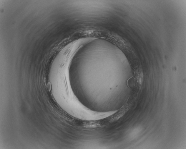 X0000079580754200612221430