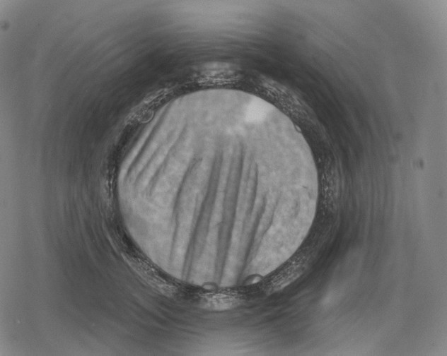 X0000079580755200612221430