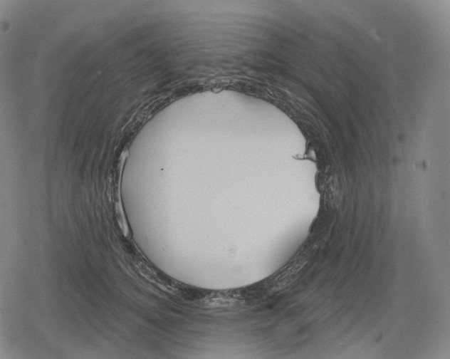 X0000079580756200612221430