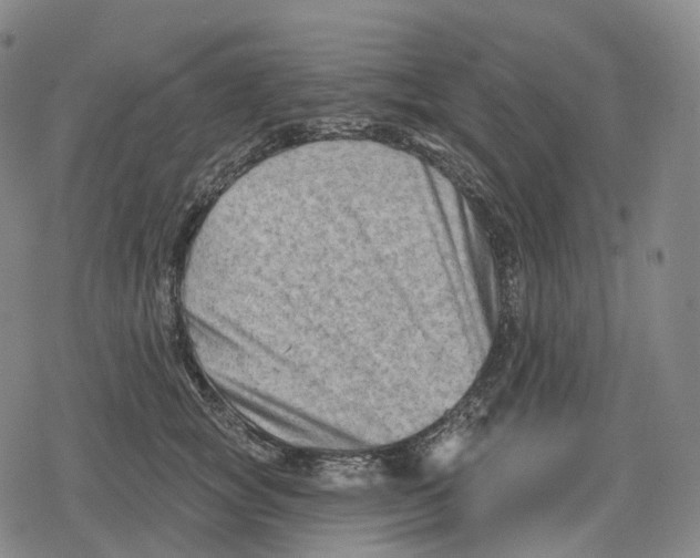 X0000079580757200612221430