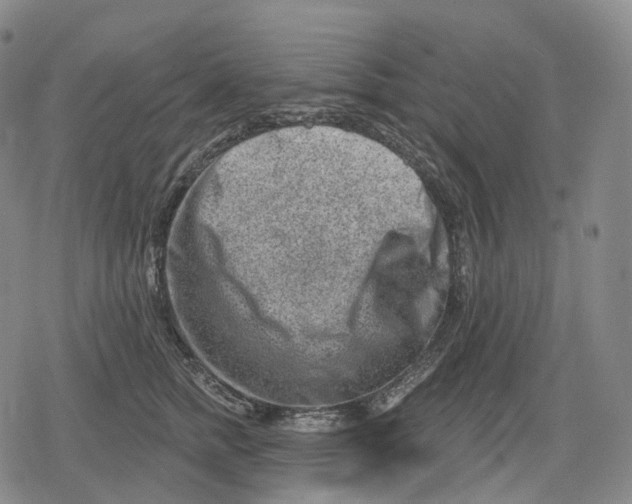 X0000079580758200612221430