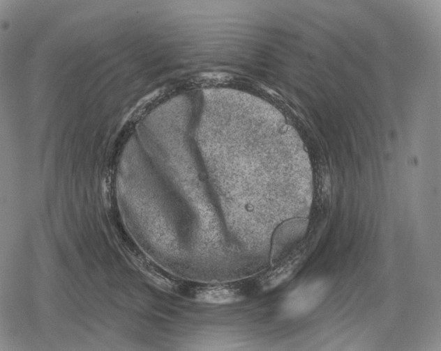 X0000079580759200612221430