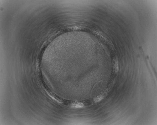 X0000079580760200612221430