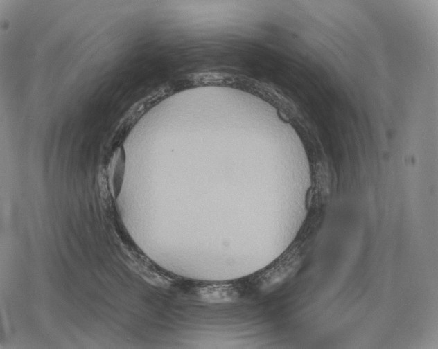 X0000079580761200612221430