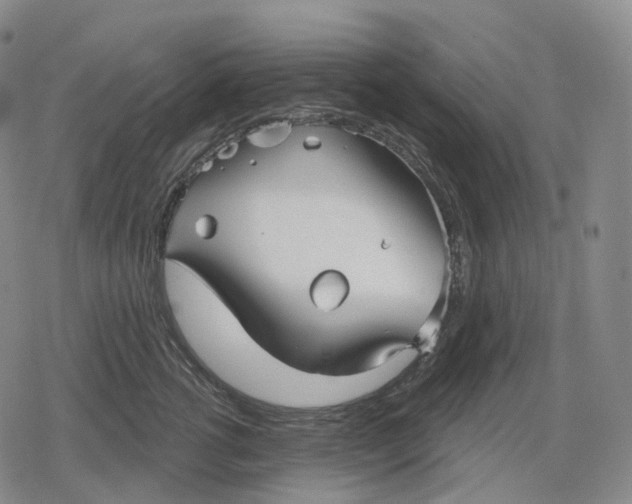 X0000079580762200612221430