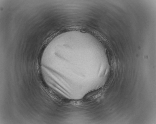 X0000079580764200612221430