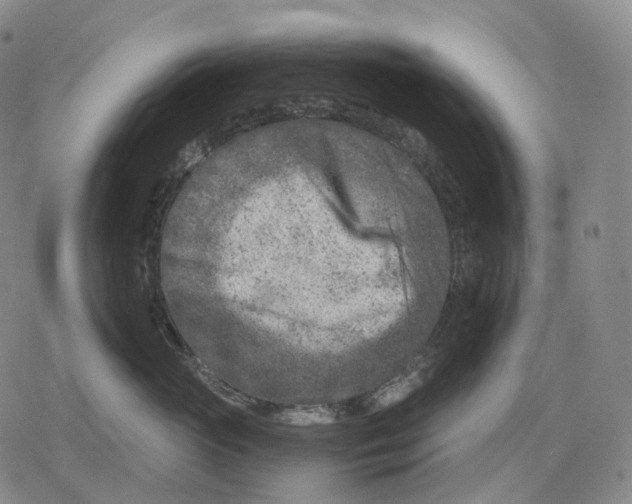 X0000079580765200612221430