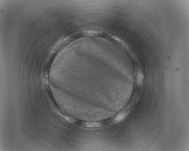 X0000079580766200612221430