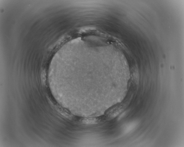 X0000079580767200612221430