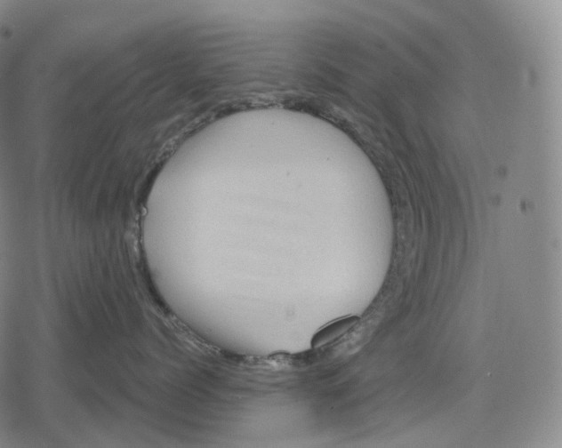 X0000079580768200612221430