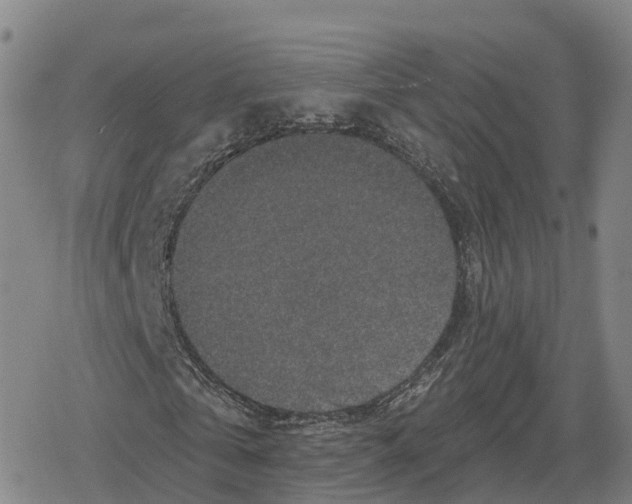 X0000079580769200612221430