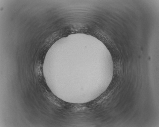 X0000079580770200612221430