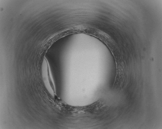 X0000079580773200612221430