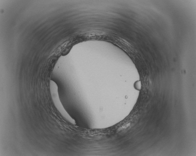 X0000079580774200612221430