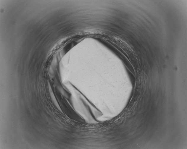 X0000079580776200612221429