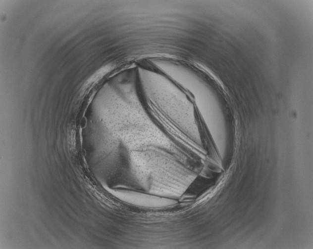 X0000079580777200612221429