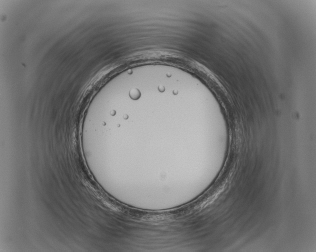 X0000079580778200612221429