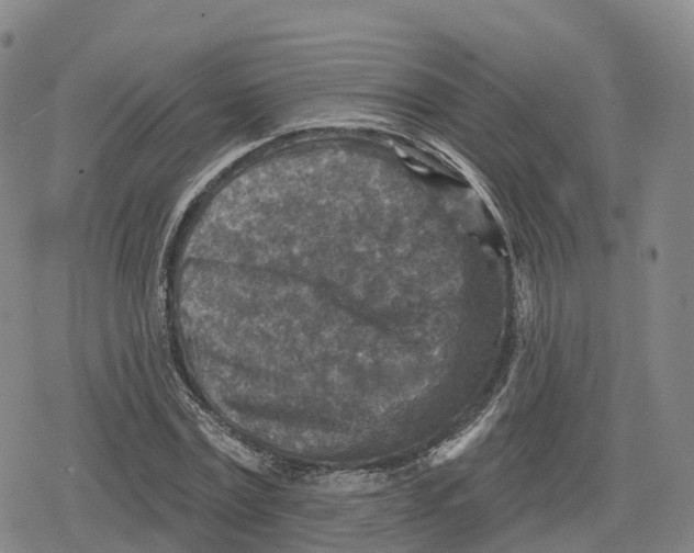 X0000079580779200612221429