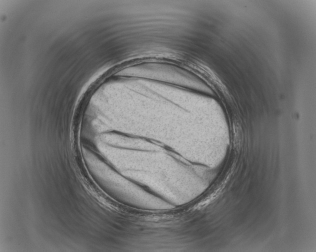 X0000079580780200612221429