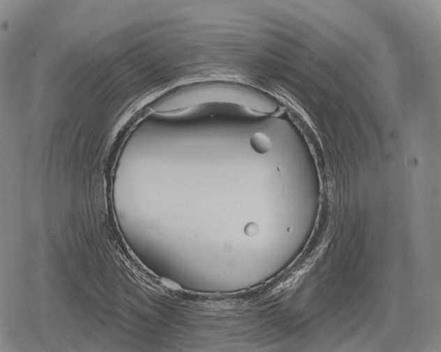 X0000079580781200612221429