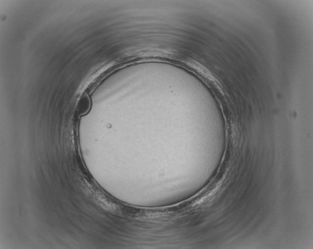 X0000079580782200612221429