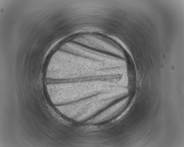 X0000079580783200612221429