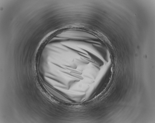 X0000079580784200612221429