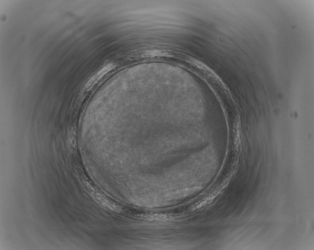 X0000079580785200612221429