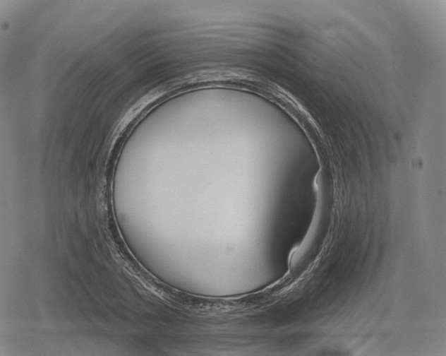 X0000079580786200612221429