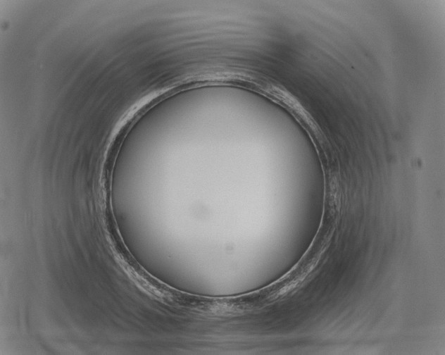 X0000079580787200612221429