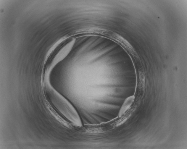 X0000079580788200612221429