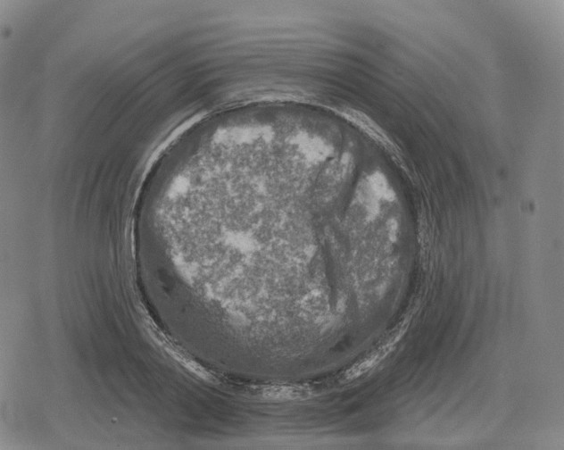 X0000079580790200612221429