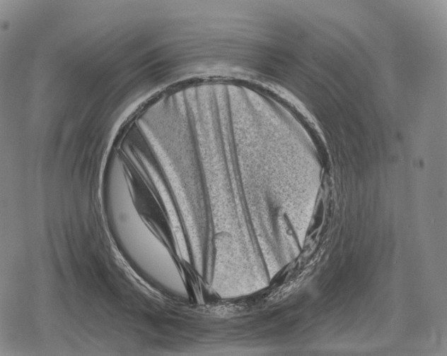 X0000079580791200612221429