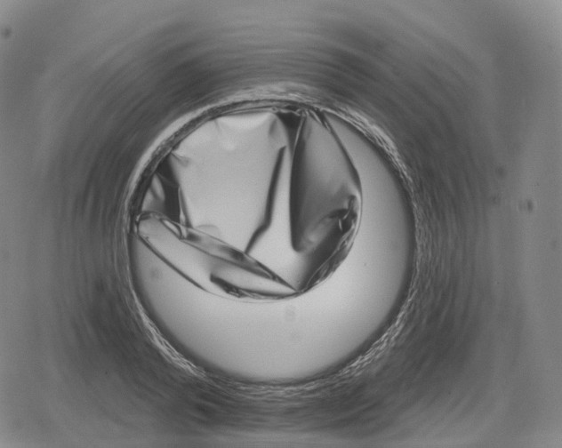 X0000079580792200612221429